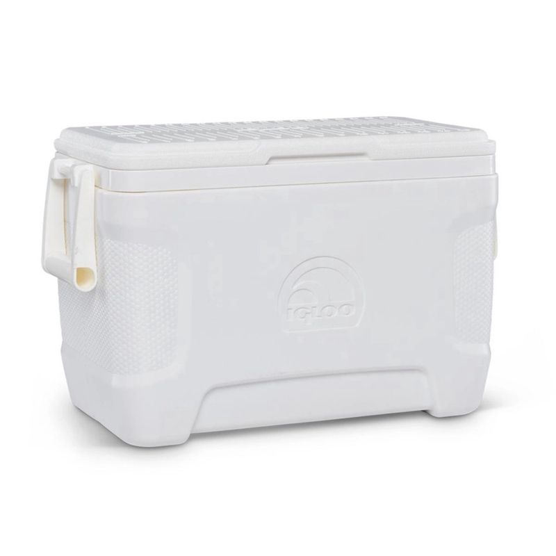 Igloo marine contour 25 hot sale qt