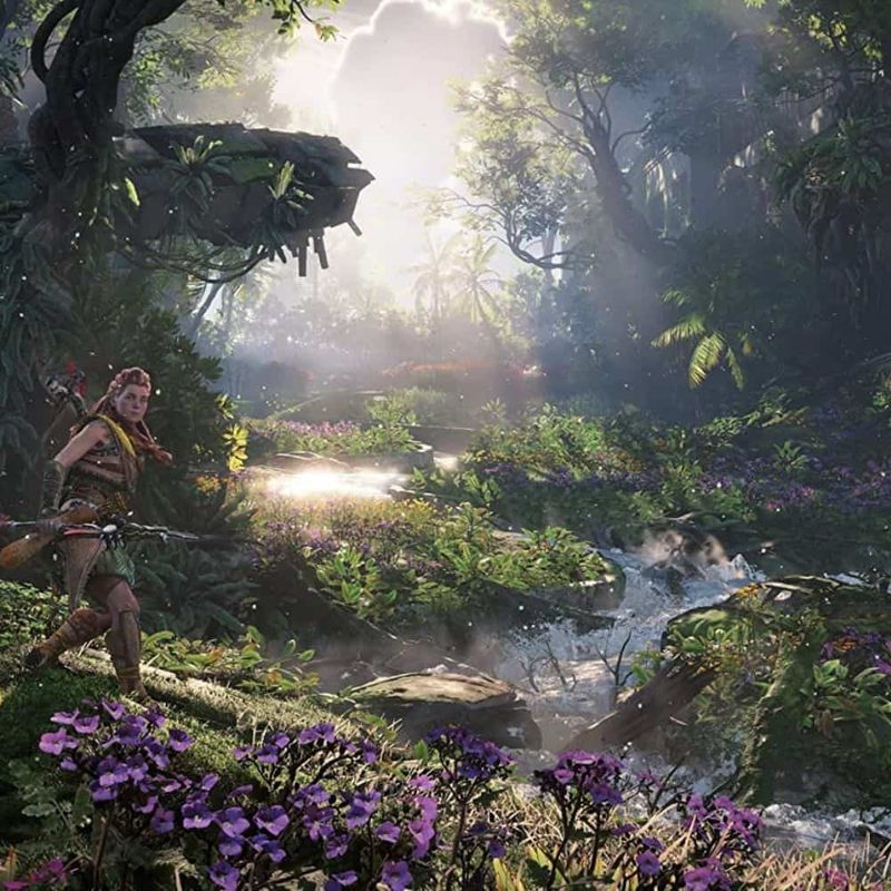 jogo-horizon-forbidden-west-edicao-especial-ps4-3